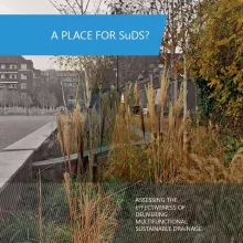 Cover photo of A Place for SuDS report by CIWEM