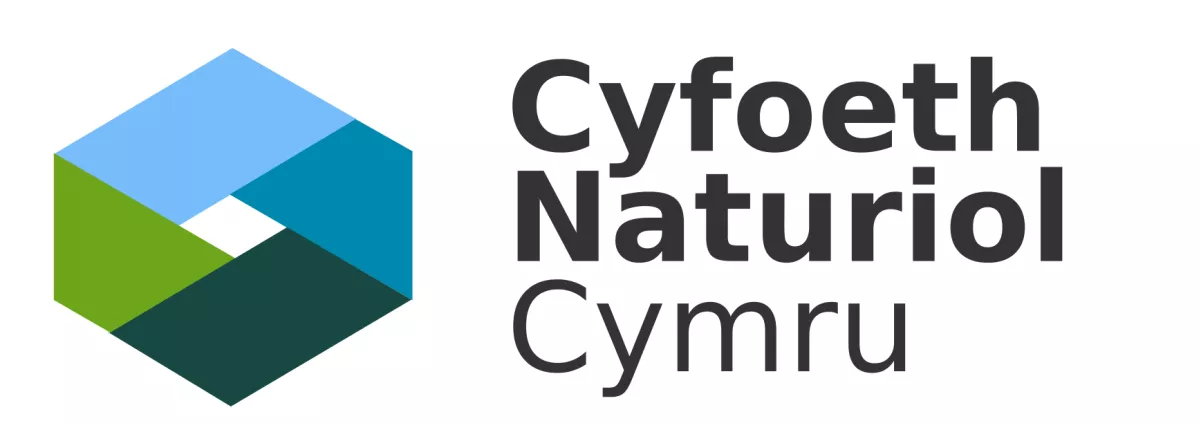 Natural Resources Wales logo