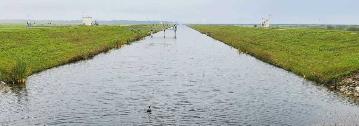 Everglades storm water treatment reservoir